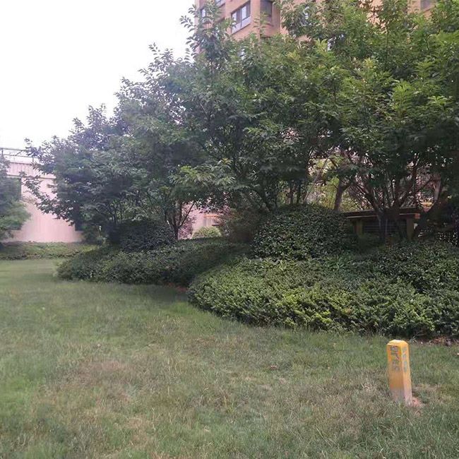 別墅綠化施工設(shè)計及養(yǎng)護(hù)